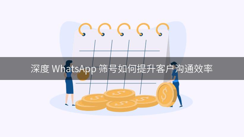 深度 WhatsApp 筛号如何提升客户沟通效率